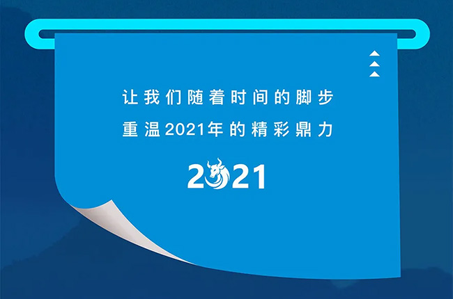 2021uVɽO޹˾ӛ